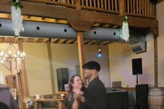 DJ Alexander Entertainment - 4