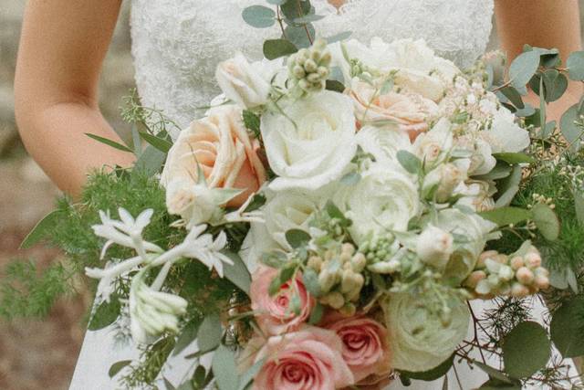 Hedge Fine Blooms 2