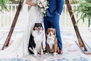 Photos by Ava Vienneau - 23
