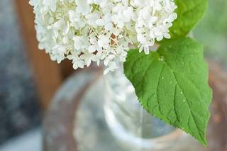 Farmhouse Floral Designs & Events - 43