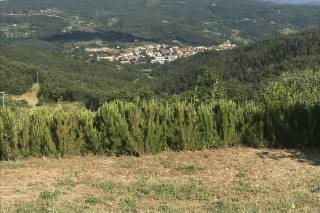 Tuscan Tours and Weddings - 72