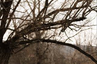 The Kruks Photography - 36
