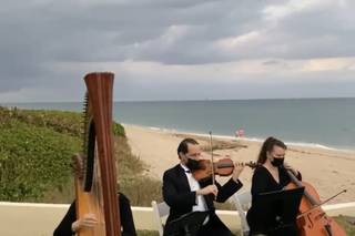 The Elegant Harp - 32
