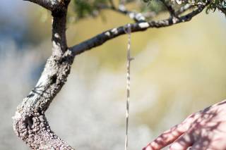 Anna Phillips Photography - 8