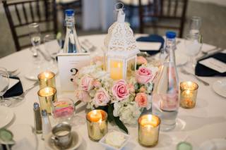 Bucks County Roses - 62