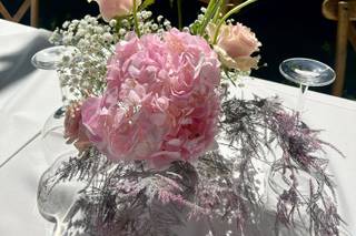 Moon Star Flowers - 6