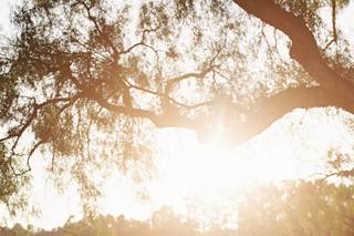 Aliso Viejo Country Club - 11