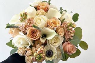 Wild Coast Flower Preservation - 19