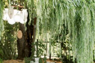 An Occasion Events - 8
