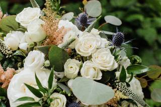 Shamrock Garden Florist - 77