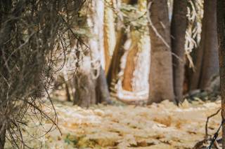 Kate Michelle Photography - 148