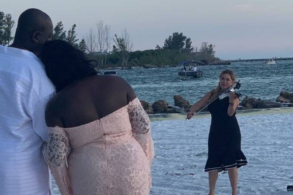 Alisar Electric Violin 3