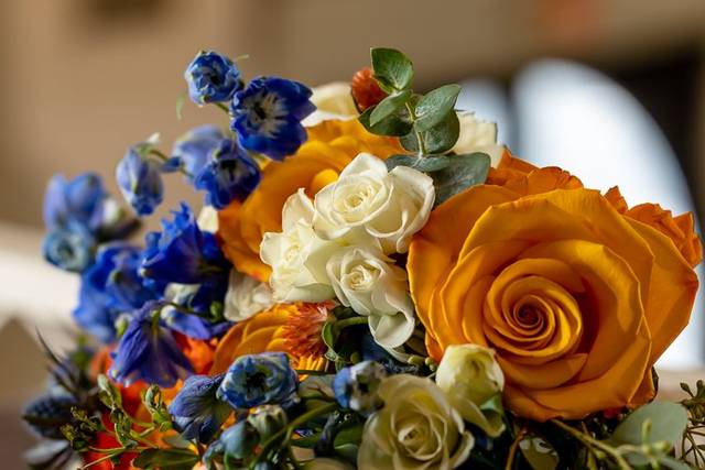 Hello petals 5