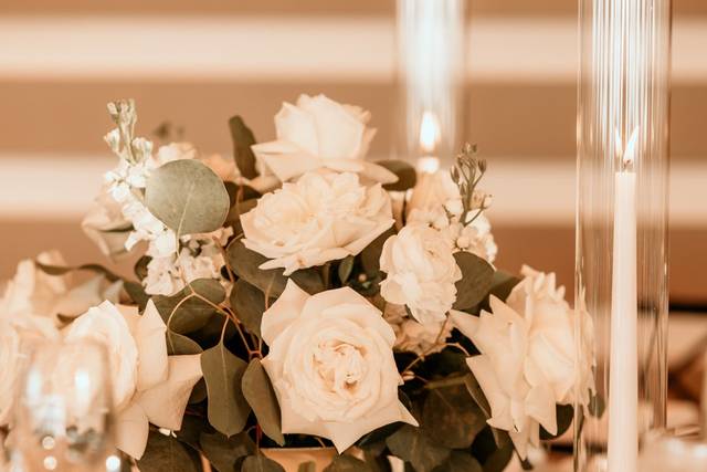 Ribeiro Events 1