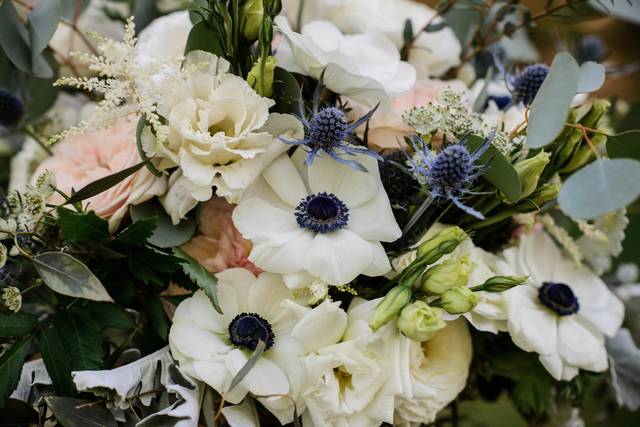 The Flower Diva 5