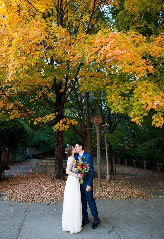 Lisa Webb Photography - 2