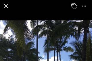 DoubleTree Resort By Hilton Hollywood Beach - 7