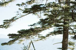 Ceremonies by Meredith - 81