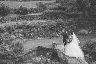 Fossil Photography - 34