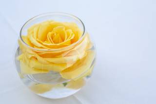 Fleur de lis Florist - 34