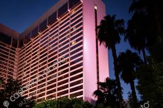 Flamingo Las Vegas Wedding Garden Chapel - 35