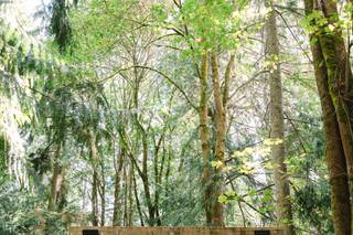 Joanna Monger Photography - 13