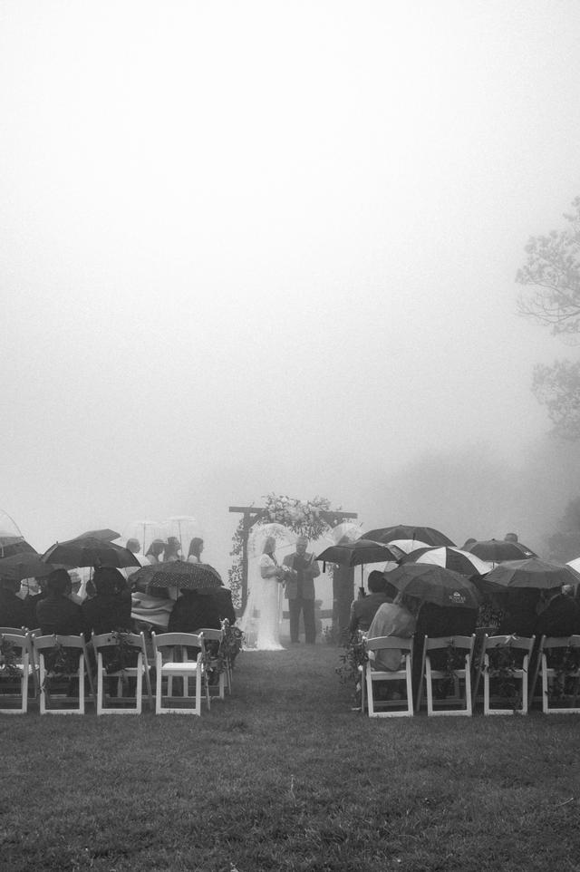Kelly Spaine Photography - 2