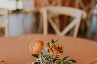 The Painted Primrose - 8