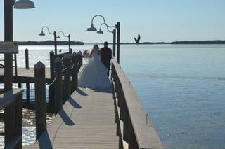 Tampa Bay Watch - 37