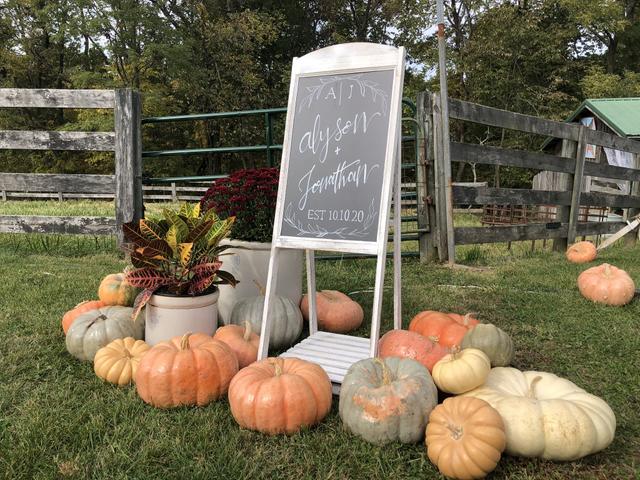 Willow Acres Farm - 4