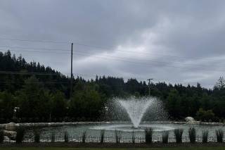 Trillium Nursery Farm - 28