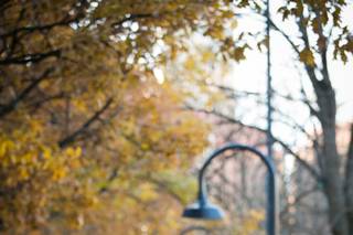 Lindsey George Photography - 38