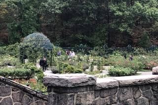The New York Botanical Garden - 39