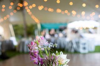 Cedar Circle Farm - 26