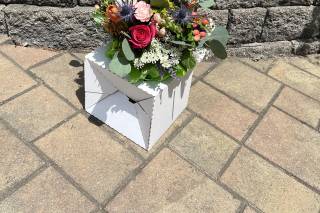 Flower Connection - 2