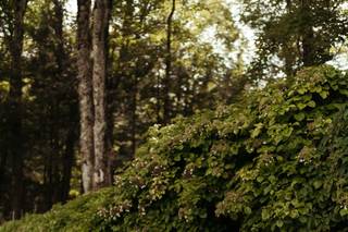 Magdalena Events & Design - 7