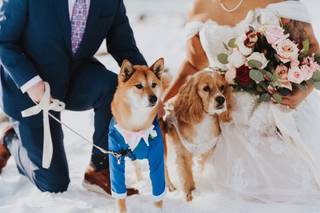 Jenny Smiley Photography - 34