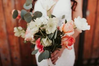 Shelby Phillips Photography - 14