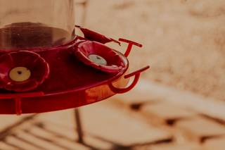 Drew Ramsey Photography - 7