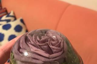 Forever In Time, Floral Preservation - 5
