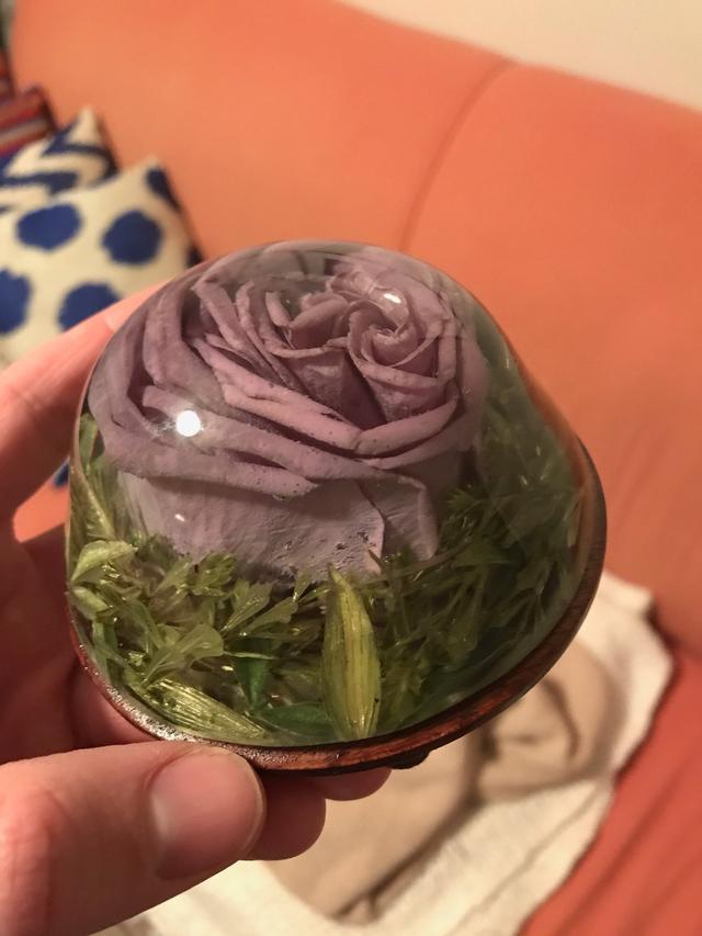 Forever In Time, Floral Preservation - 2