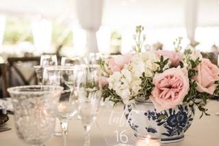 Oberer's Flowers - 7
