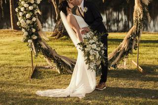 Ivory and Beau - 78