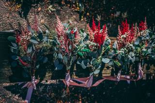 Hannah LaPan Events - 5