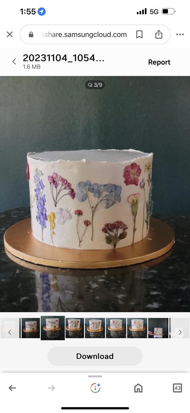 Destin Cakes - 4
