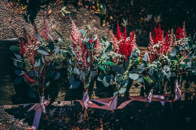 Hannah LaPan Events - 1