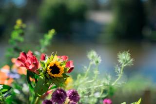 Woodland Floral - 35