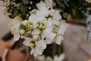 Fancy Plants Flowers and Design LLC - 17