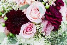 Elizabeth M Photography - 17