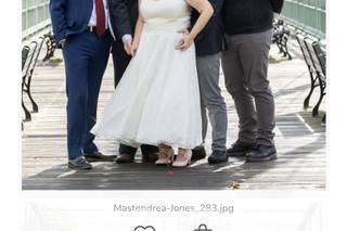 The Cotton Bride - 7